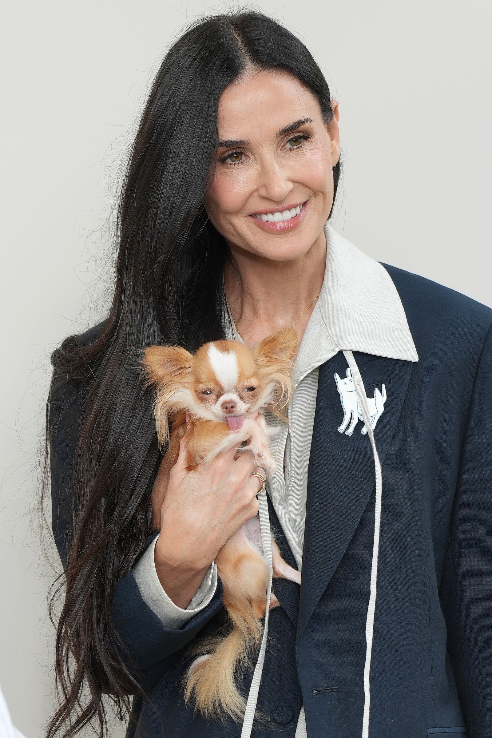 Pilaf held by someone in a navy jacket with a white dog brooch.
